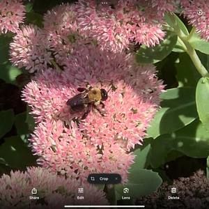 Meet your Posher, Gary